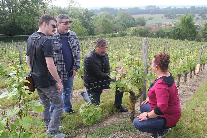 7-Hour Guided Wine Tour in Loire Valley - Refund and Cancellation Policy