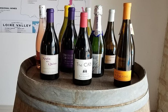 7-Hour Guided Wine Tour in Loire Valley - Enthusiastic Customer Reviews