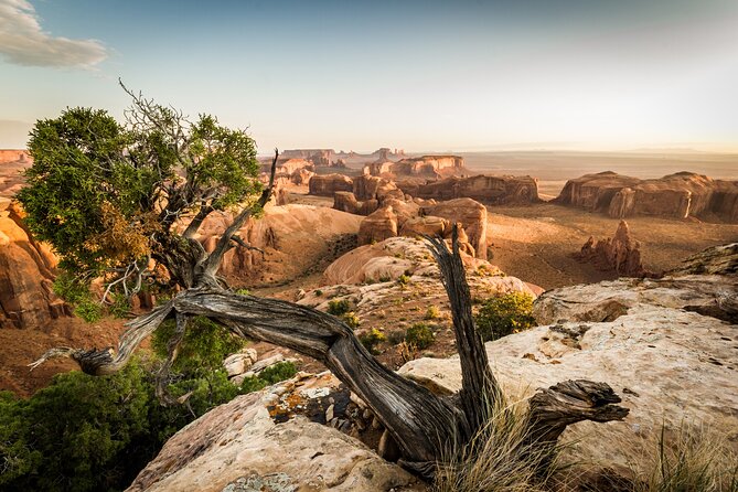 7 Hour Hunts Mesa Tour - Whats Included in the Tour