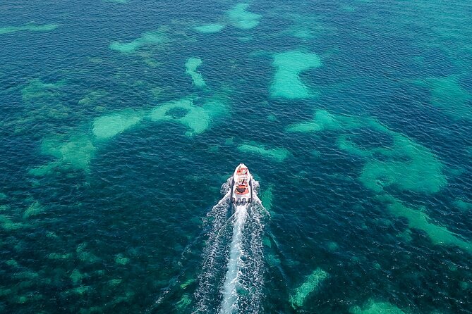 7 Hour Private Charter Rental La Fueguina in Ibiza - Booking and Cancellation