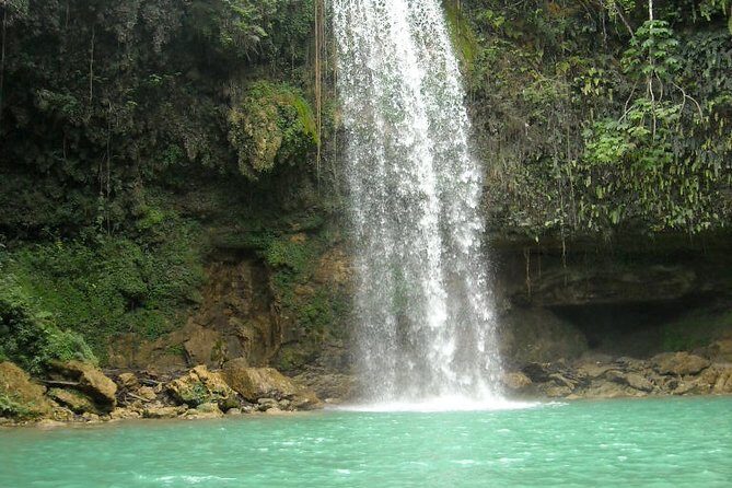 7 Hour- Private Nature Tour of the Monte Plata Rainforest - Key Points