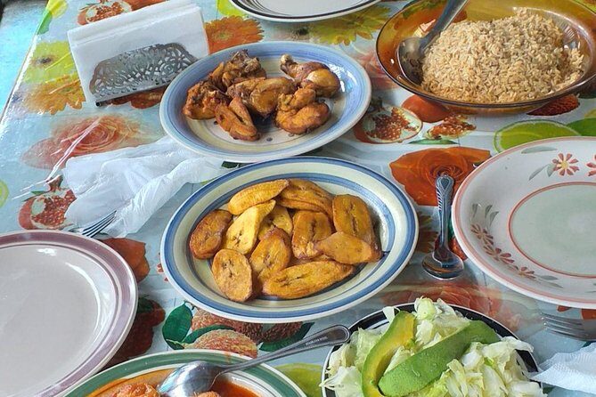 7 Hour- Private Nature Tour of the Monte Plata Rainforest - An In-Depth Look at the Tour Experience