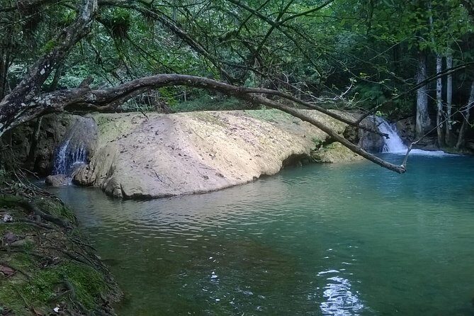 7 Hour- Private Nature Tour of the Monte Plata Rainforest - The Bottom Line: Who Is This Tour Best For?