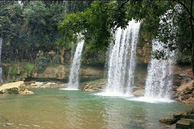 7 Hour- Private Nature Tour of the Monte Plata Rainforest - Final Thoughts