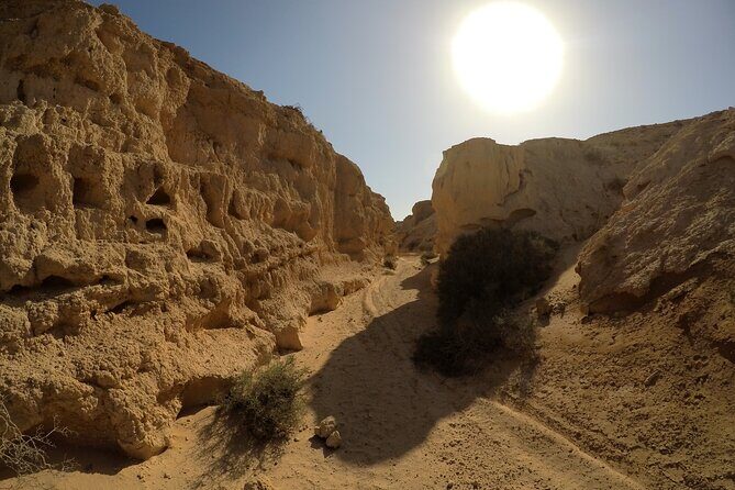 7-Hour Private Tour to the Wonders of Fuerteventura - The Sum Up: Why This Tour Might Be Your Best Choice