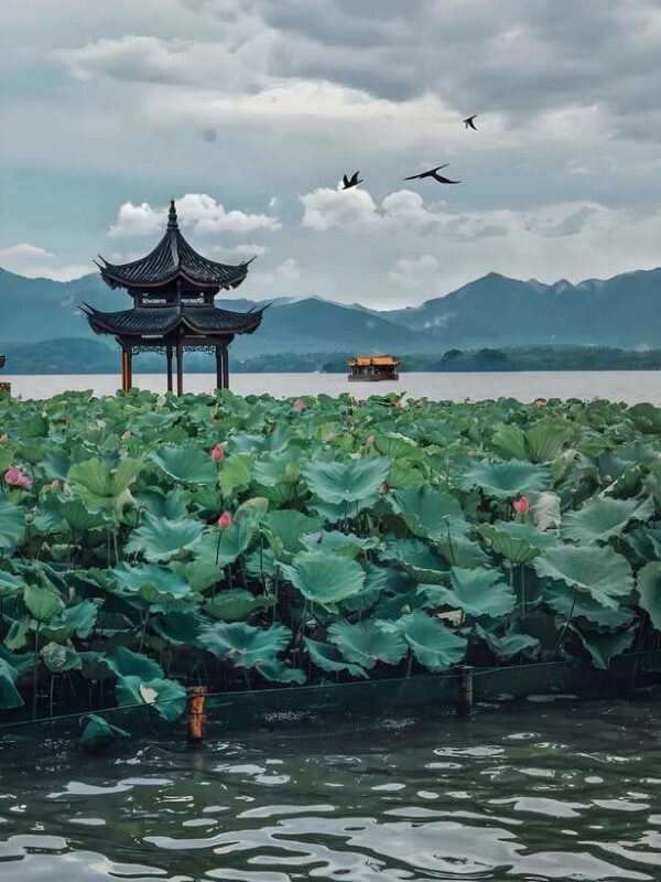 7 hours Hangzhou Tour Itinerary - Key Points