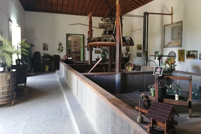 7-Hours Private Tour Volcanoes and Wine Region in the Canary Islands - Who Will Love This Tour?