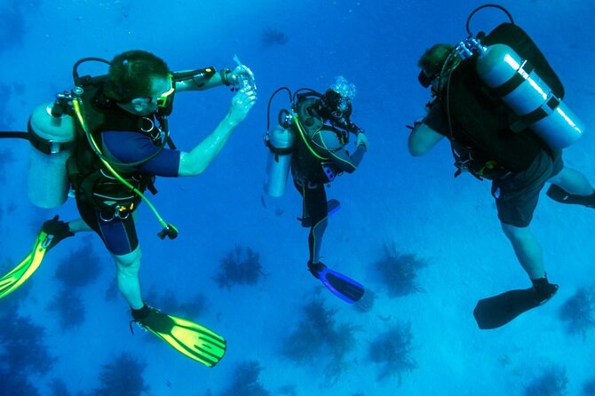 7 Hours Scuba Diving in Antalya - Checking Availability and Reservations