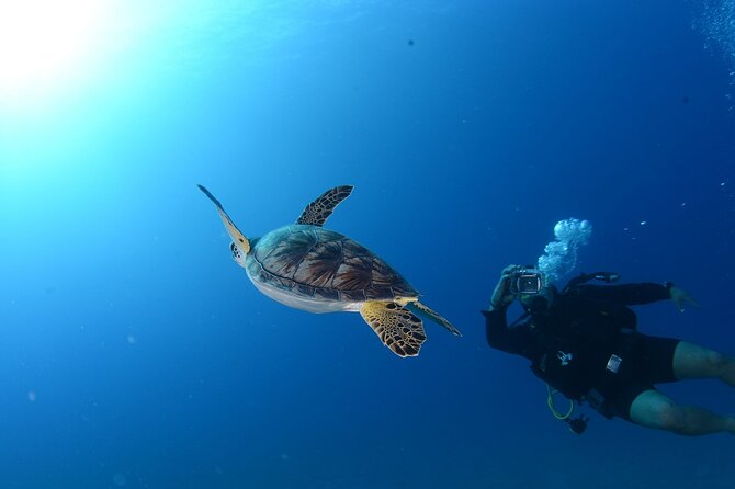 7 Hours Scuba Diving in Antalya - Customer Support and Assistance