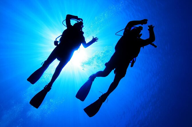 7 Hours Scuba Diving in Antalya - What to Expect on the Tour