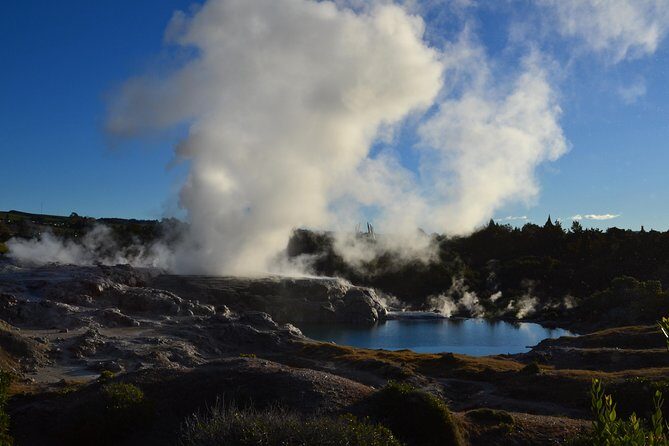 7 Hours Te Puia Rotorua Tour from Tauranga with Concert - The Tour Experience in Detail