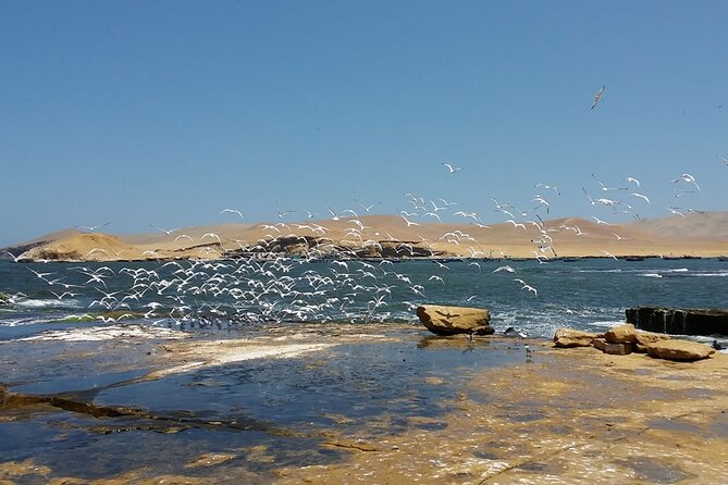 7-Hours Tour in Paracas National Reserve With Pickup - Desert Coastal Landscape