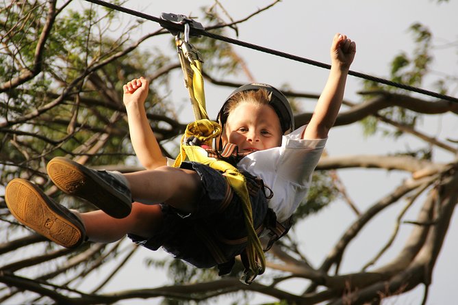 7-Line Maui Zipline Tour on the North Shore - Reviews