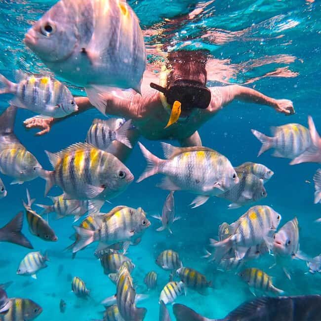 7 Mile Beach & Ricks Café: Full Day in Negril - Key Points