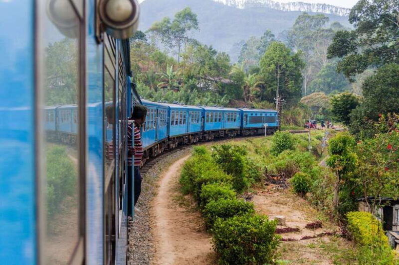 7 night 8 days Tour in Srilanka - Key Points