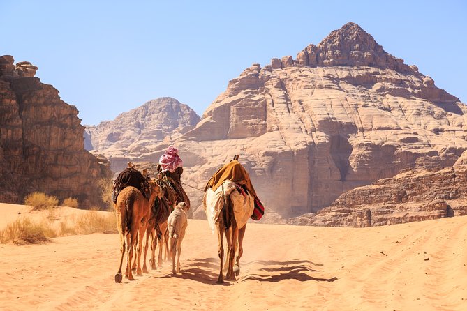 7-Night Best of Jordan Tour:Jerash, Dead Sea, Petra,Wadi Rum,and Aqaba Overnight - Frequently Asked Questions
