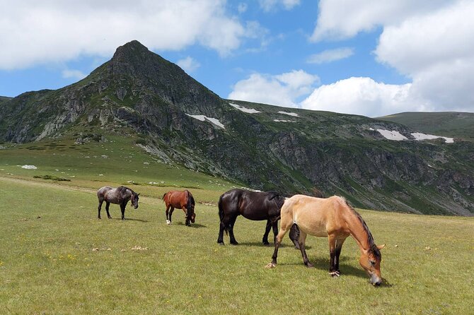 7 Rila Lakes and Rila Monastery Small Group Day Tour From Sofia - Booking and Assistance