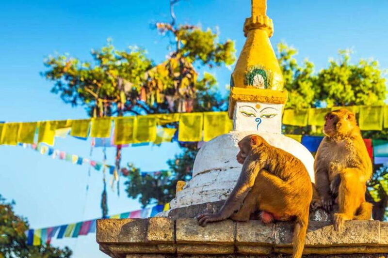 7-Wonders of Kathmandu: Thorough, at your comfort 1-Day Tour - Final Thoughts
