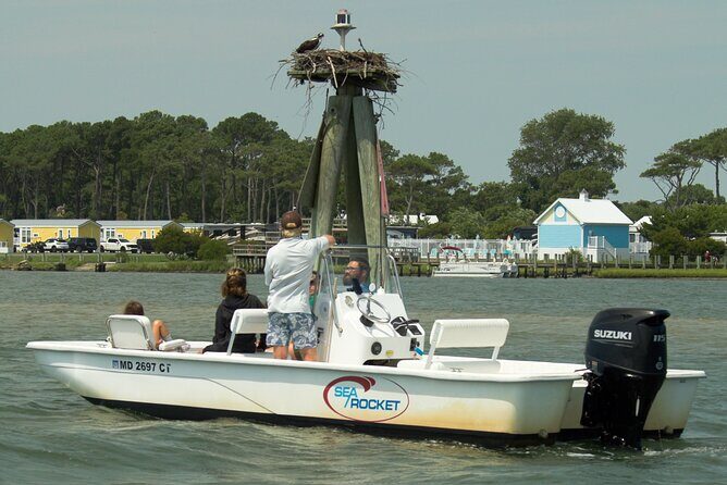 75 Minute Private Party Back Bay Sunset Cruise in Ocean City, MD - Key Points