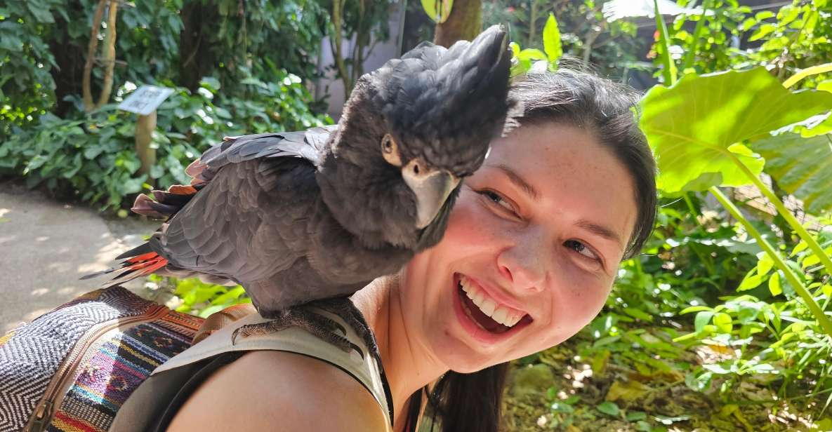 7B - Wildlife Tour & Mossman Gorge - Inclusions and Exclusions