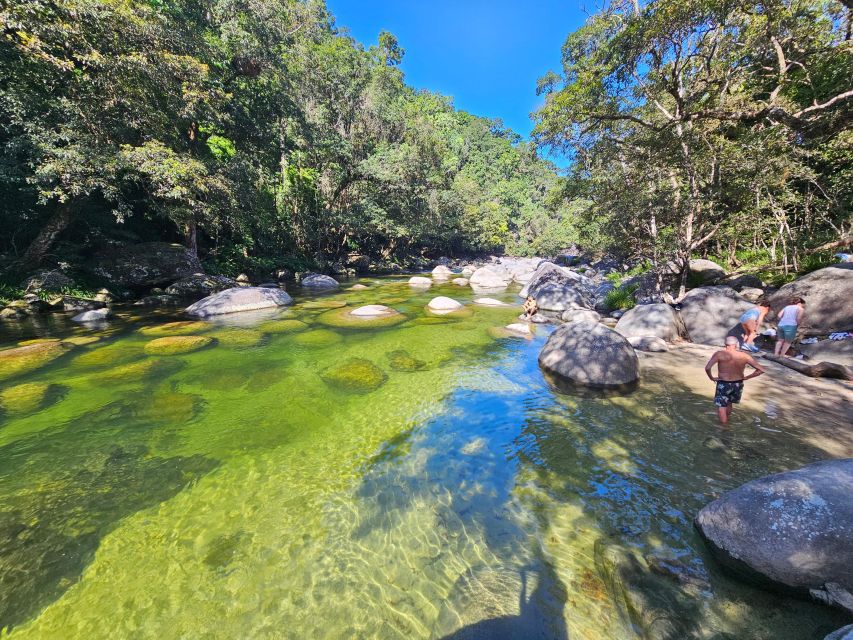 7B - Wildlife Tour & Mossman Gorge - Important Reminders