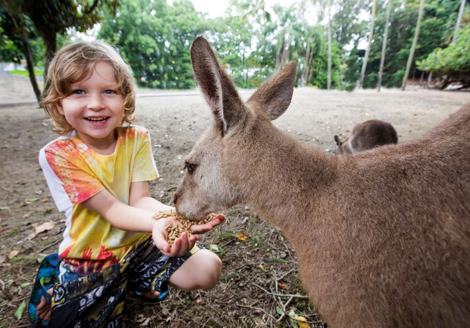 7B - Wildlife Tour & Mossman Gorge - Recap