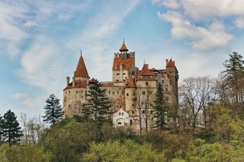 7h Draculas Castle Private Tour From Bucharest - Fast Tour - Customer Experience