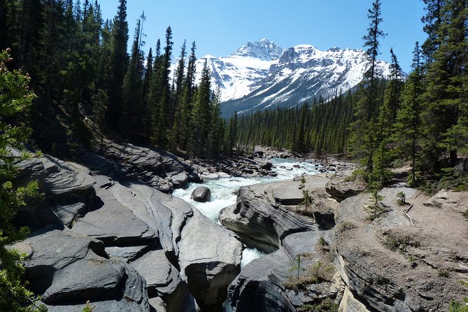 8-Day, Caribou - Best of the Rockies Tour From Vancouver - Traveler Ratings and Feedback