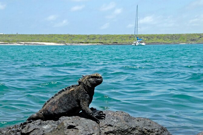 8-Day Galapagos Island Hopping Backpack Style: Los Tuneles and Kicker Rock - Questions About Your Stay