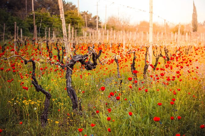 8-Day Georgia Wine Tour With a Guide - Airport and Railway Station Pickup