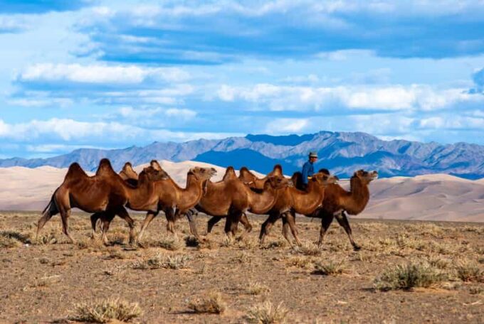 8 DAY GOBI AND CENTRAL MONGOLIA - Inclusions and Exclusions