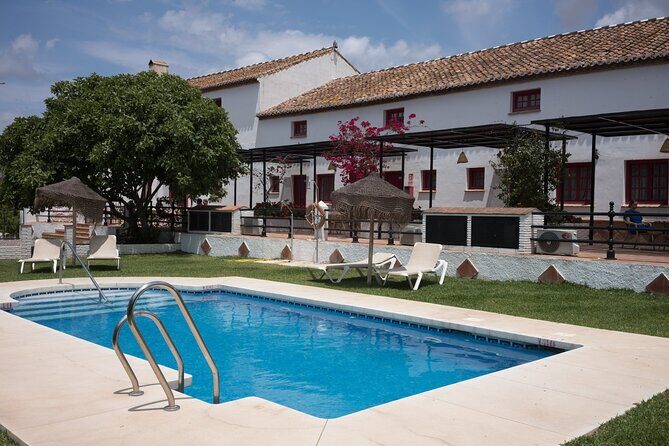 8 Day Guided Cycling and Walking Tour of Andalusia, Spain - A Detailed Look at the Itinerary