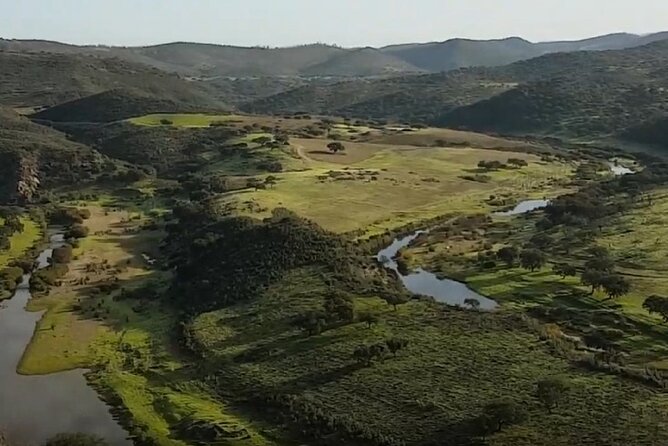 8-Day Private Tour Birds of Alentejo and Sierra Morena - Accommodations and Dining