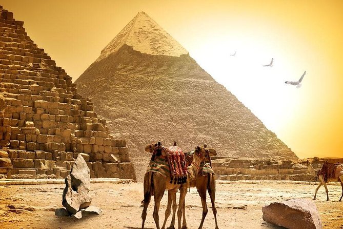 8-Day Private Tour Cairo, Aswan, Luxor and Nile Cruise Including Air Fare - Transportation Options