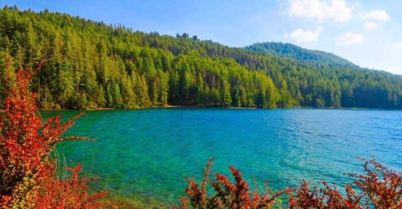 8 Day Rara Lake Tour - Transportation Options