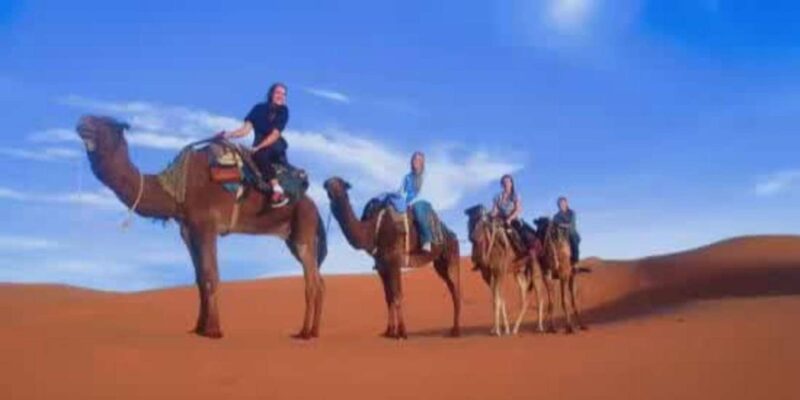 8 Days 7 Nights Tour From Tangier to Marrakech via Merzouga - Itinerary Highlights