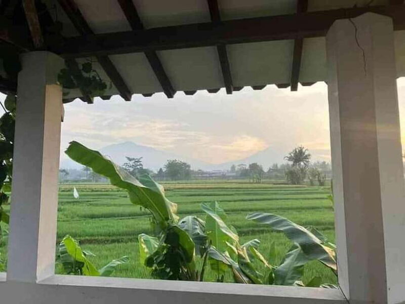 8 Days all inclusive - Motorbike Tour in Central Java - Practical Considerations & Value