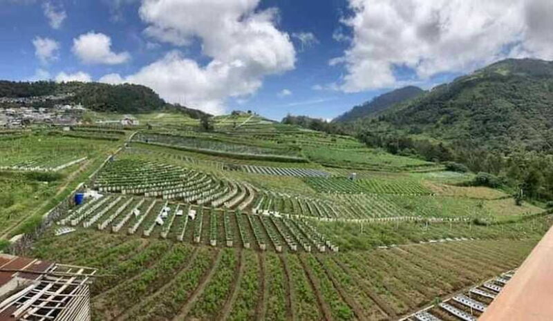 8 Days all inclusive - Motorbike Tour in Central Java - Final Thoughts