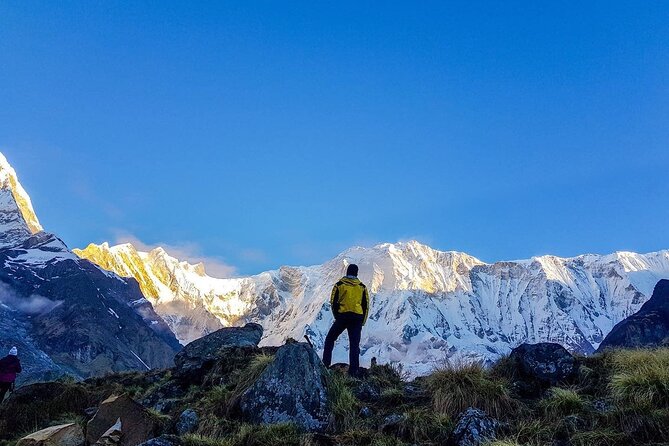 8 Days Annapurna Base Camp Budget Trek From Kathmandu - Reviews and Ratings