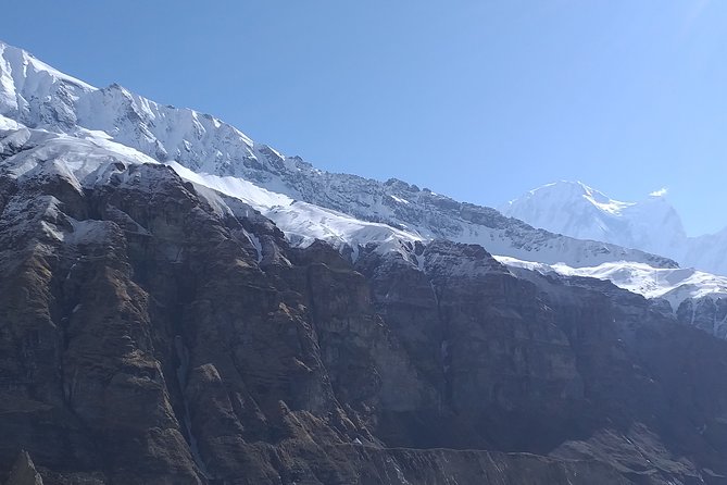 8 Days Annapurna Base Camp Trek From Pokhara - Meeting and Pickup Information