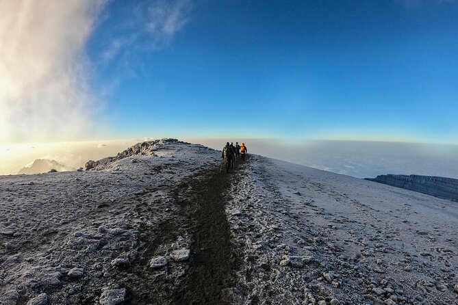 8 Days Climbing Mt.Kilimanjaro (Lemosho Route) - Daily Itinerary Breakdown