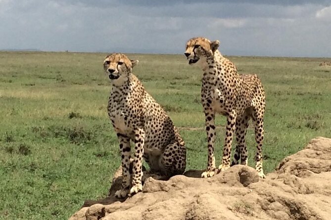 8 Days Green Season Offer - Luxury Serena Safari - Booking and Cancellation