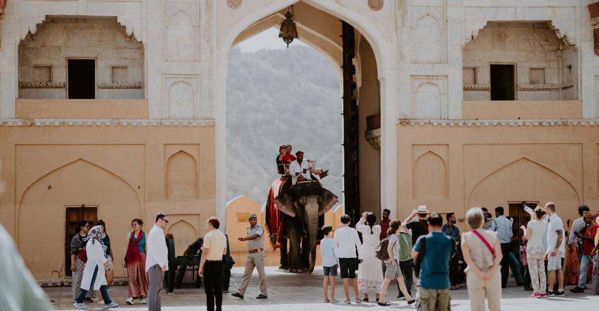 8 Days Jaipur, Jodhpur and Udaipur City Tour - Cultural Experiences