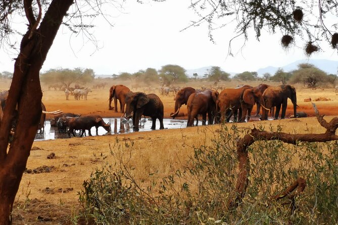 8 Days Kenya Highlights Safari Starting From Nairobi. - Included Amenities