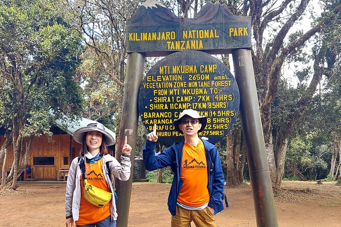 8 Days Kilimanjaro Hike via Lemosho Route - What to Expect Daily