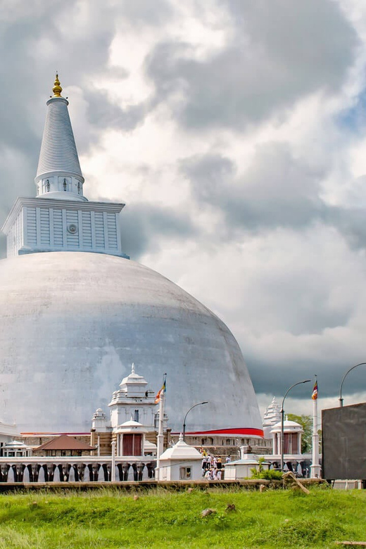 8 Days Taj Mahal and Buddhist Pilgrimage Tour - Itinerary Highlights