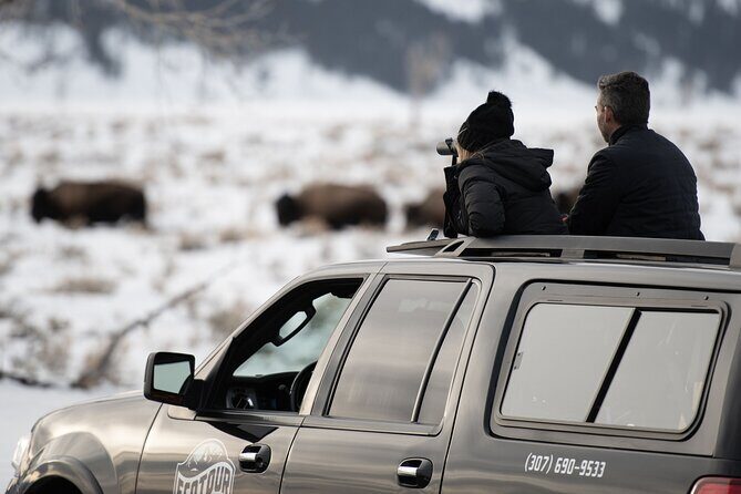 8 Hour Combination Snowshoe & Wildlife Viewing in Grand Teton National Park - Key Points