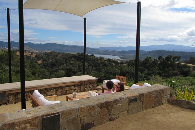 8-Hour Private, Customized Wine Tour up to 6 Guests Napa Valley & Sonoma - Cancellation Policy