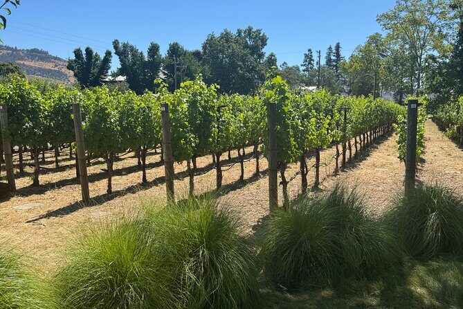 8-Hour Private Limousine Wine Country Tour of Napa or Sonoma - The Luxury Ride and First Impressions