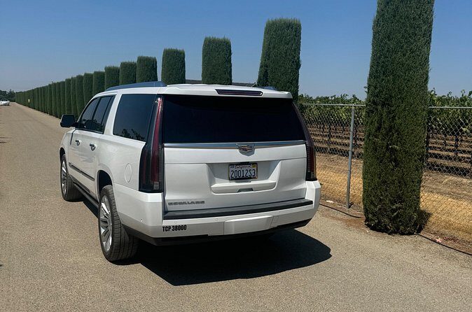 8-Hour Private Limousine Wine Country Tour of Napa or Sonoma - Who Will Love This Tour?